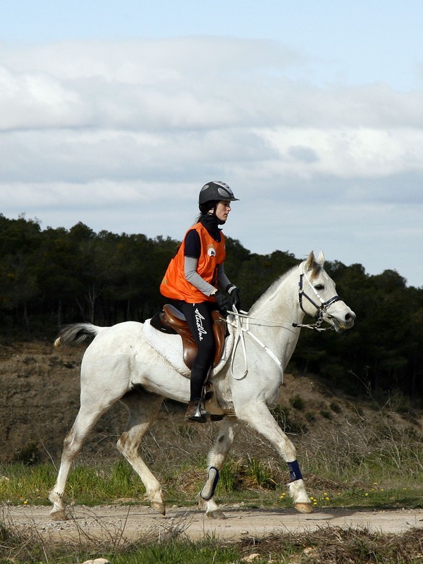 Clasificación Raid CEI*, CEN 0* y Promoción del 19 de marzo. La navarra Silvia Pérez de Zabalza gano el raid internacional CEI* celebrado en Figarol